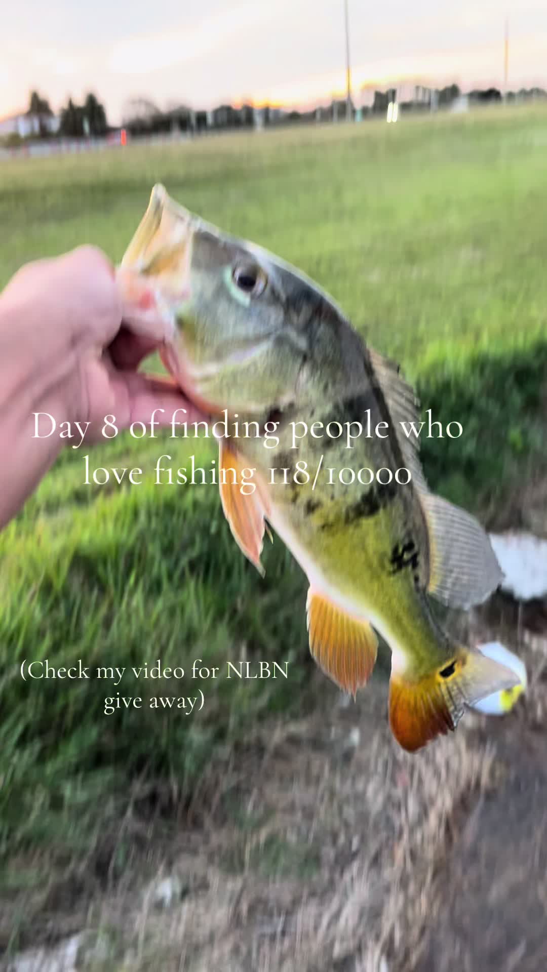 @DC.Fishin