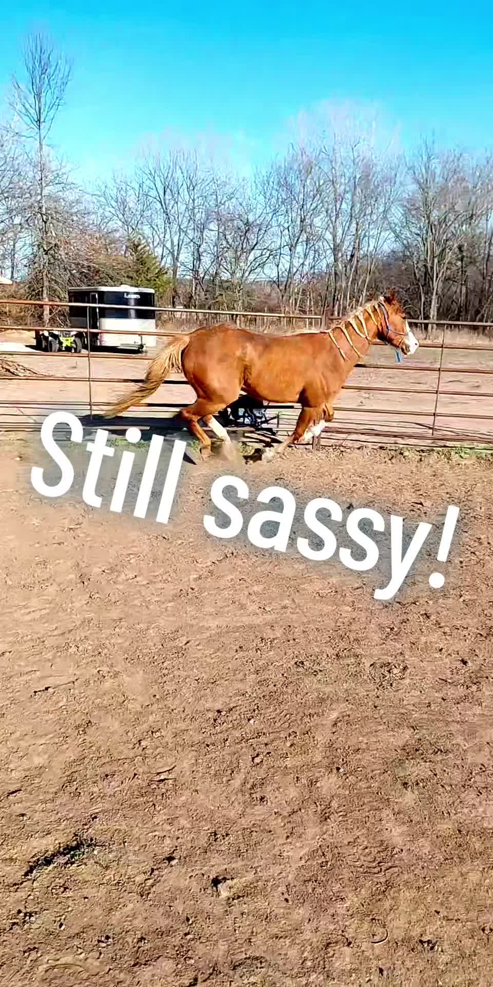 @#933
