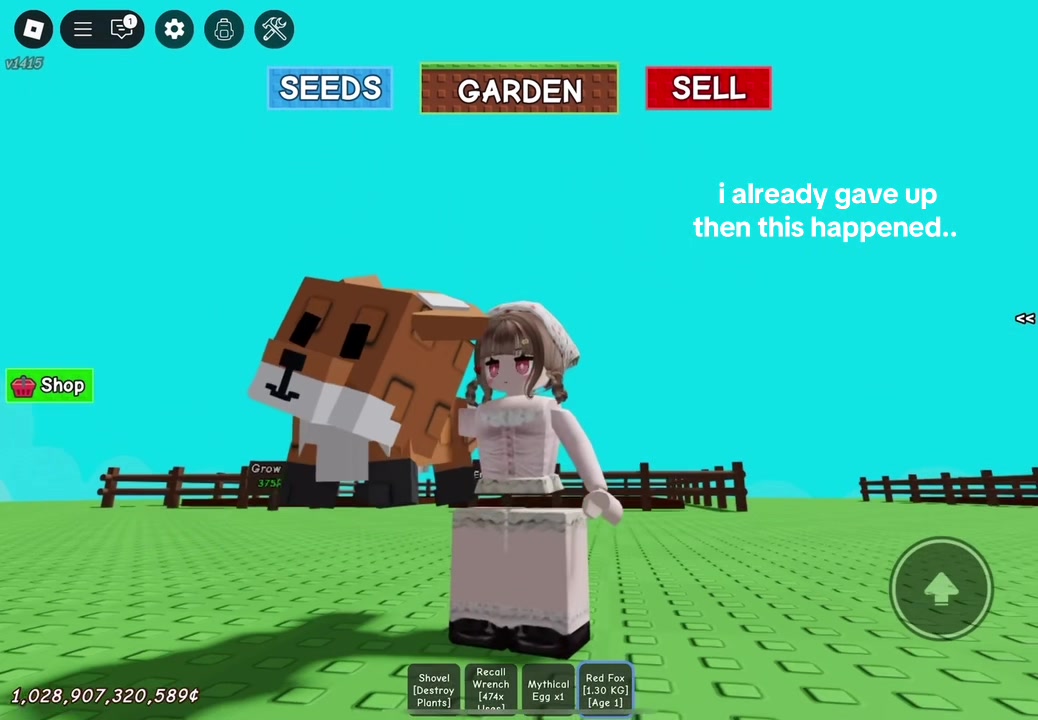 @maori ⟡
