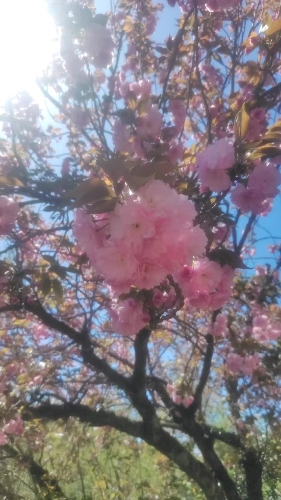 @♪にゃ〜ごぉ〜♪