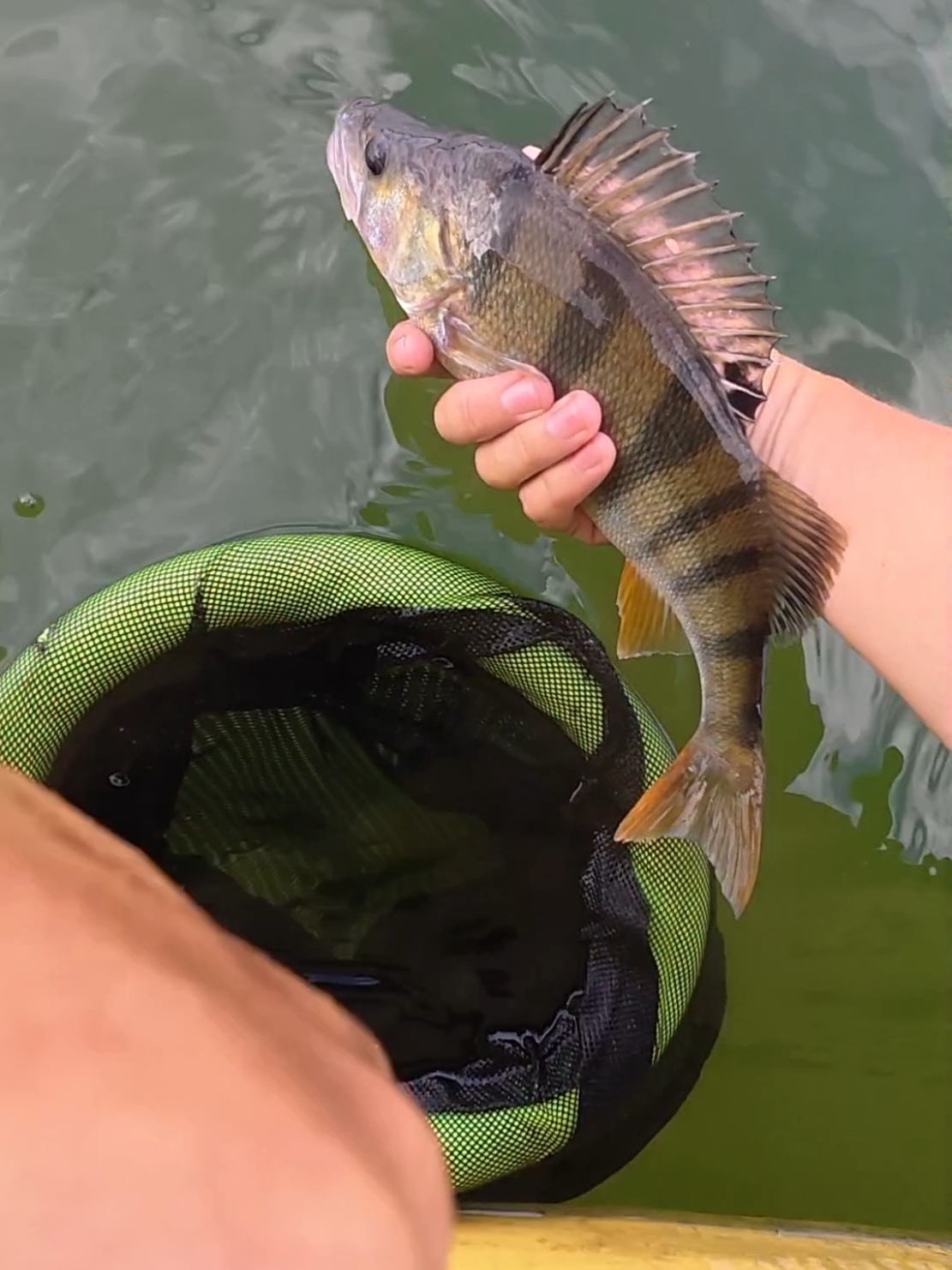 @Niezatapialnifishingteam