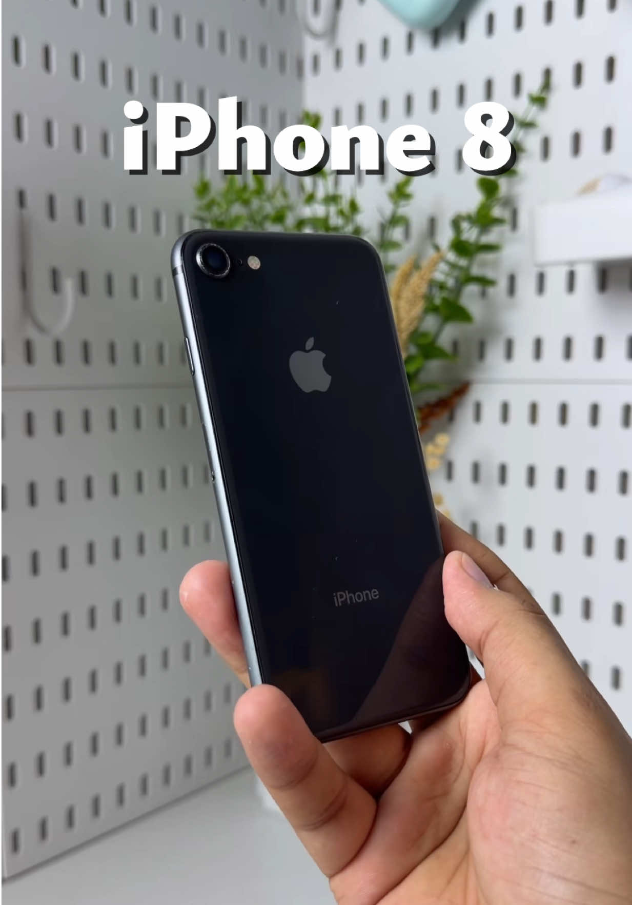 @iPhonary 🩷