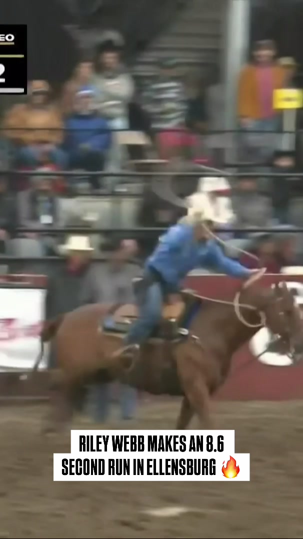 @cowboy_plus