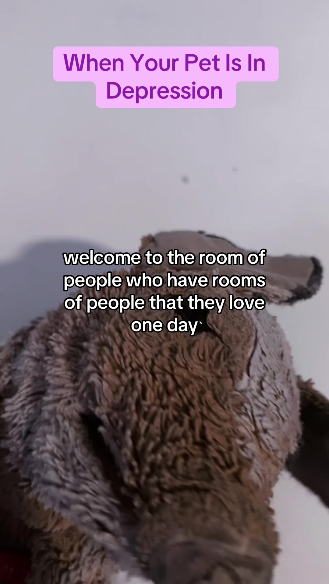 @Kam
