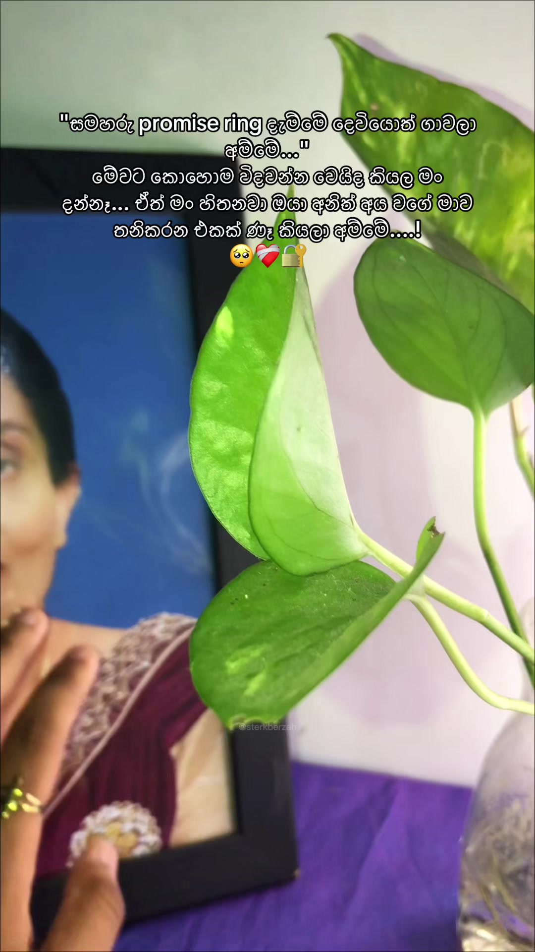 @🤍🦋_V_I_B_U_🦋🤍