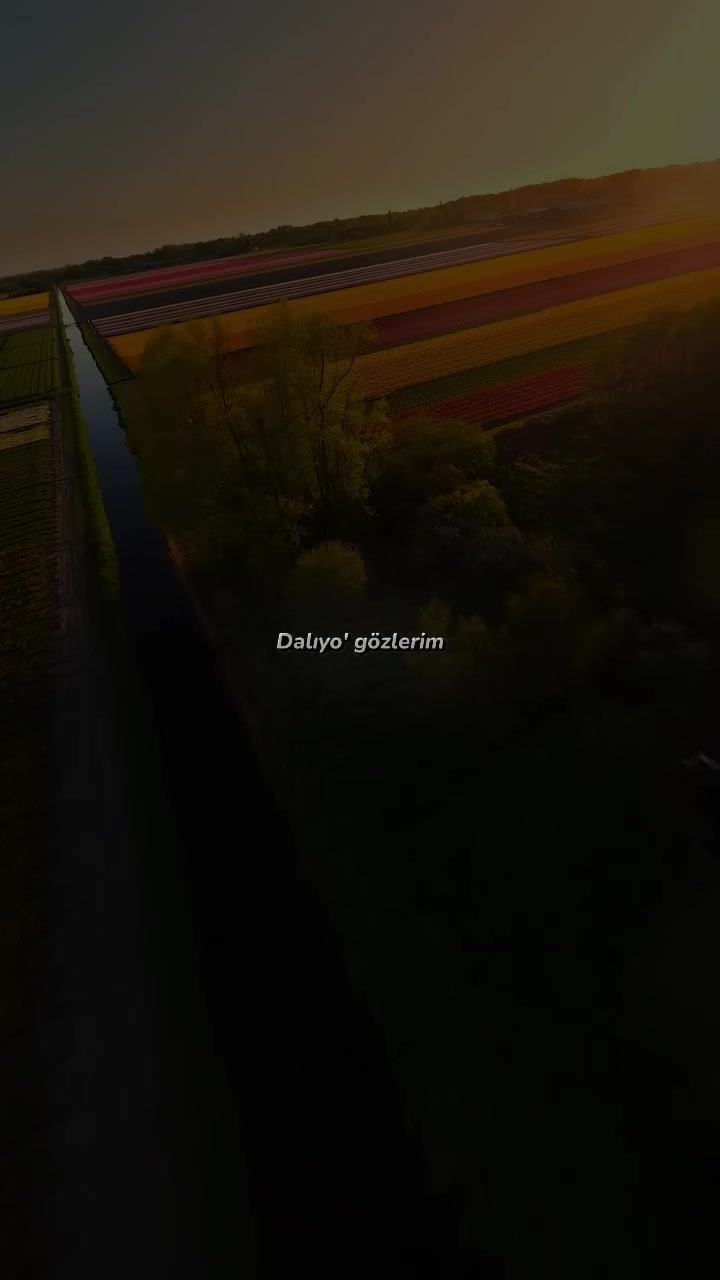 @𝕯𝖚𝖒𝖆𝖓