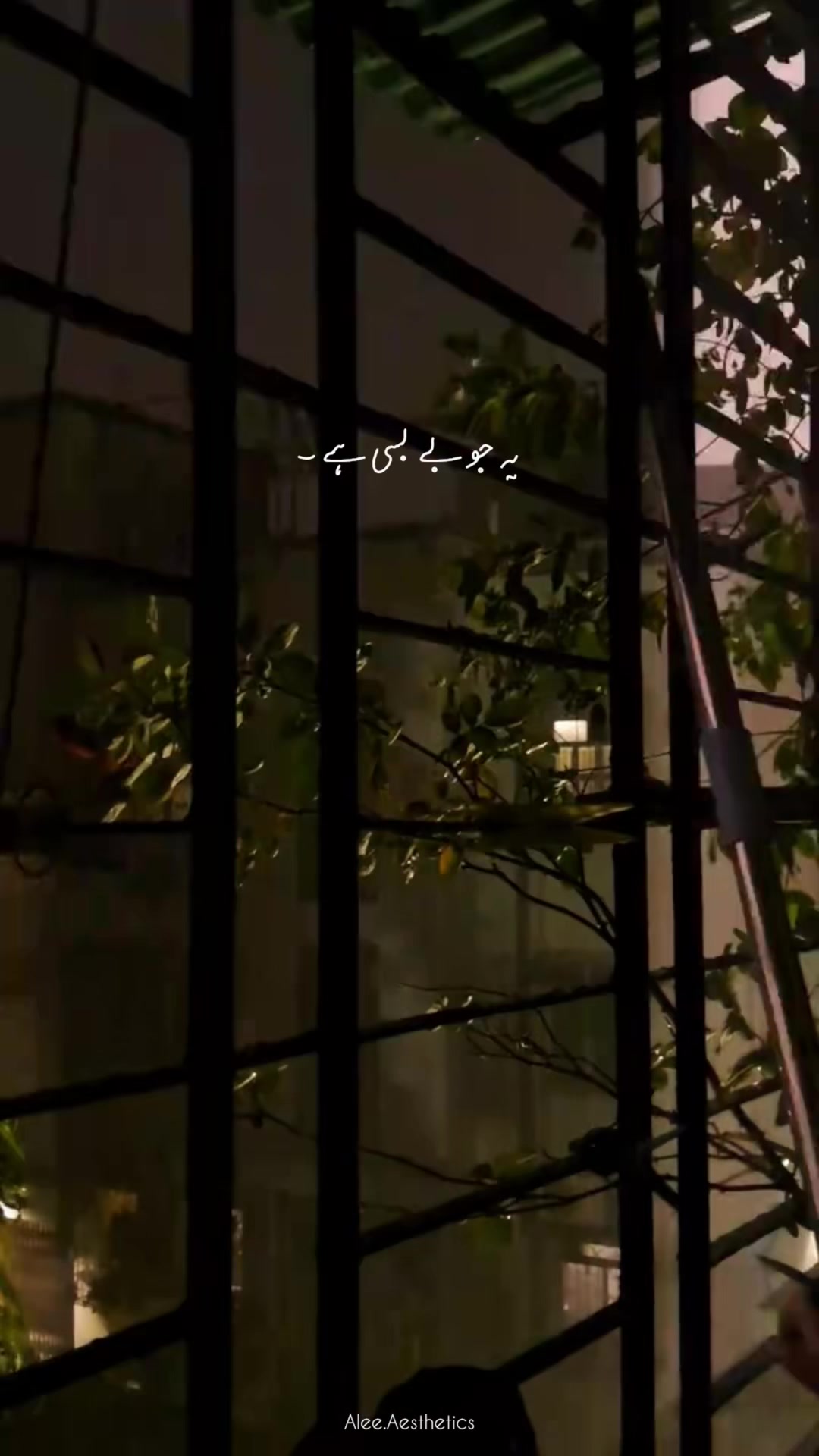 @𝐀 𝐋 𝐄 𝐄 ♡