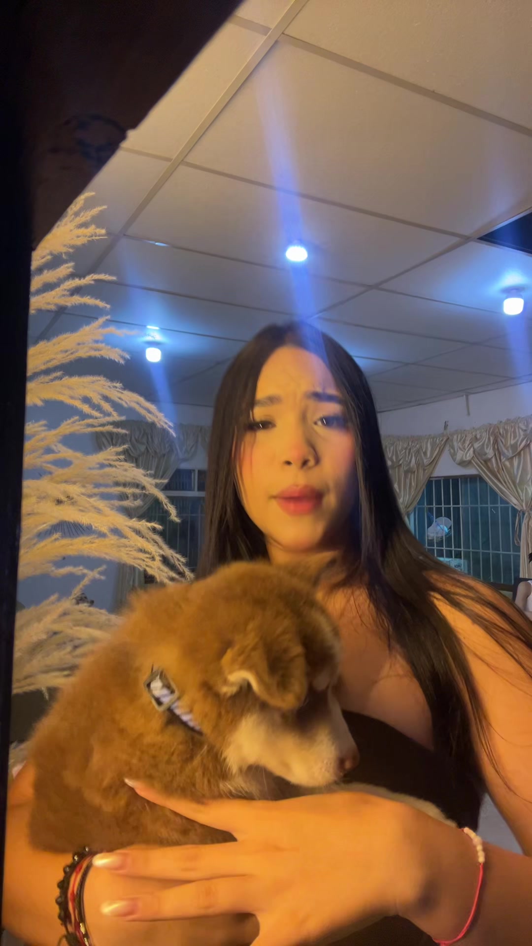 @paulita_wil🧿