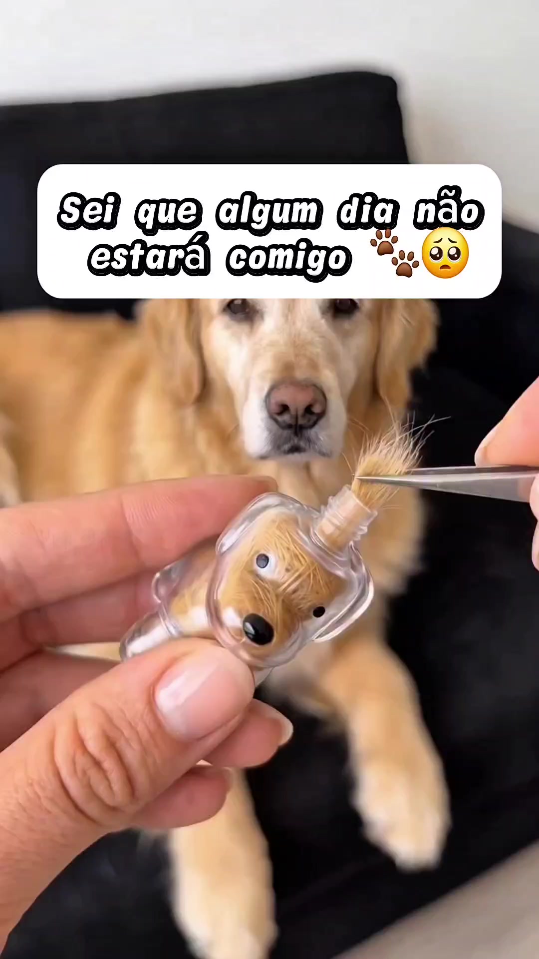 @Explore Aquii 🐾🐾✨️