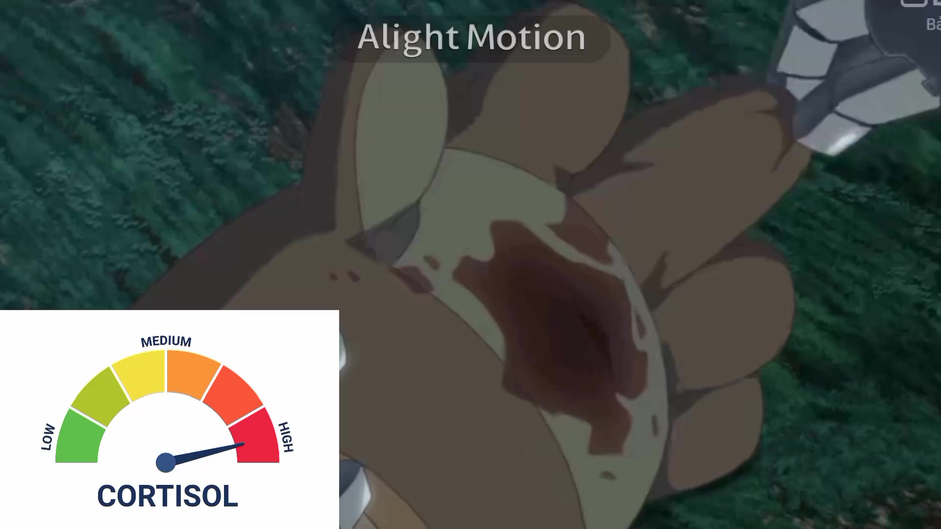 @Made in abyss_tiktok