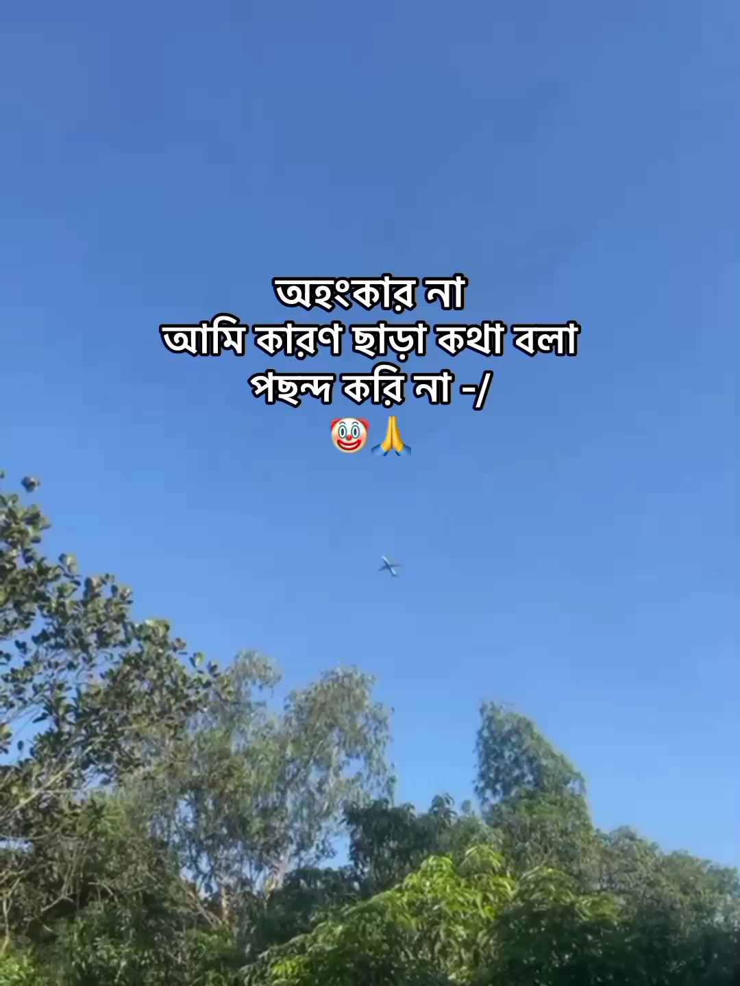 @⁷𝐇𝐚𝐦𝐢𝐝𝐚◡🧃