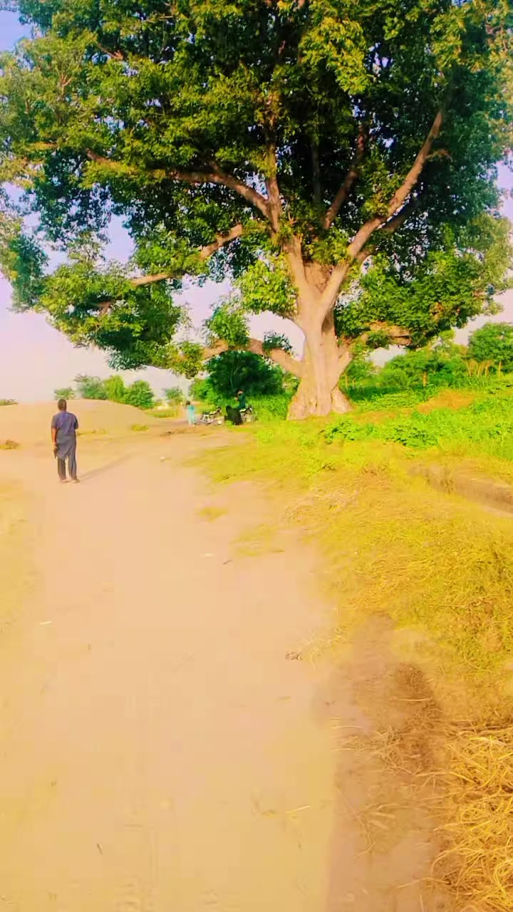 @mazhar Iqbal layyah wal