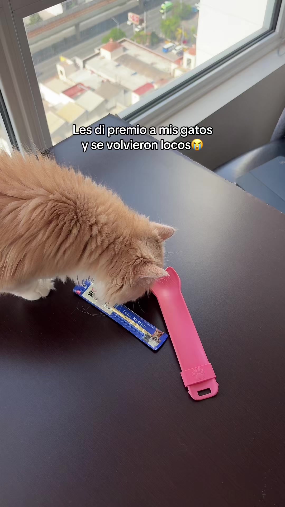 @Patricio