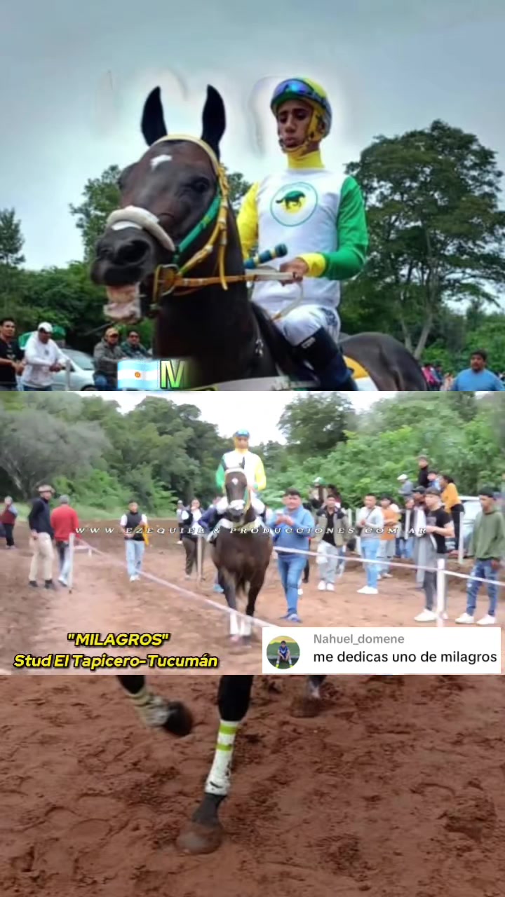 @WIL.🐎