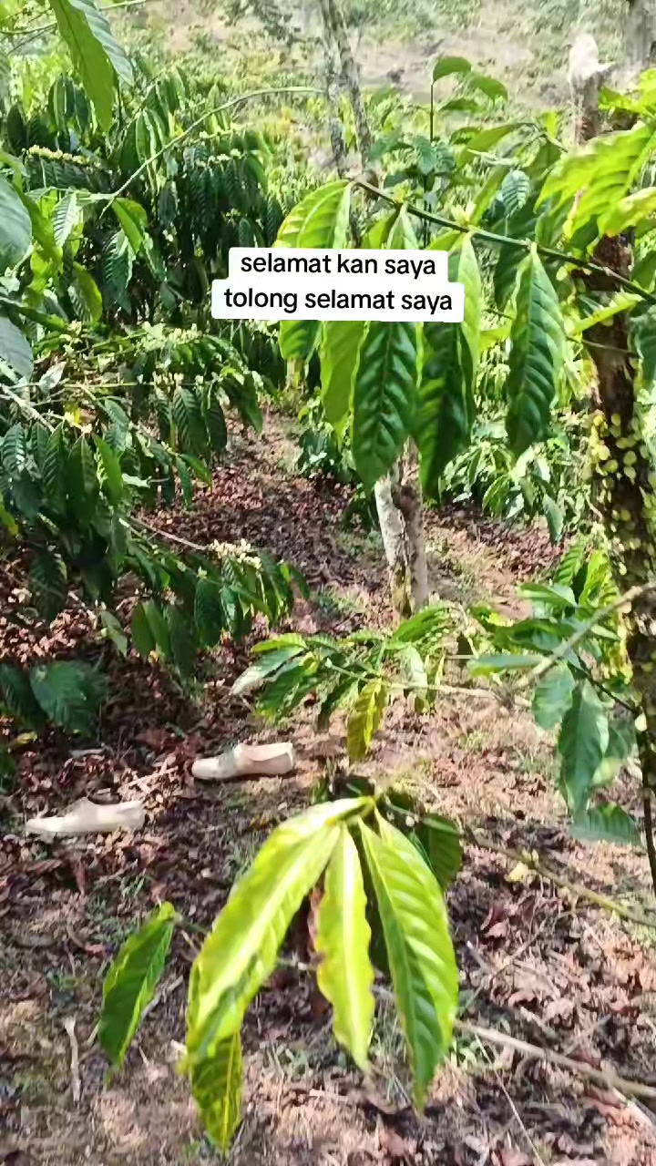 @Aguss_nawa