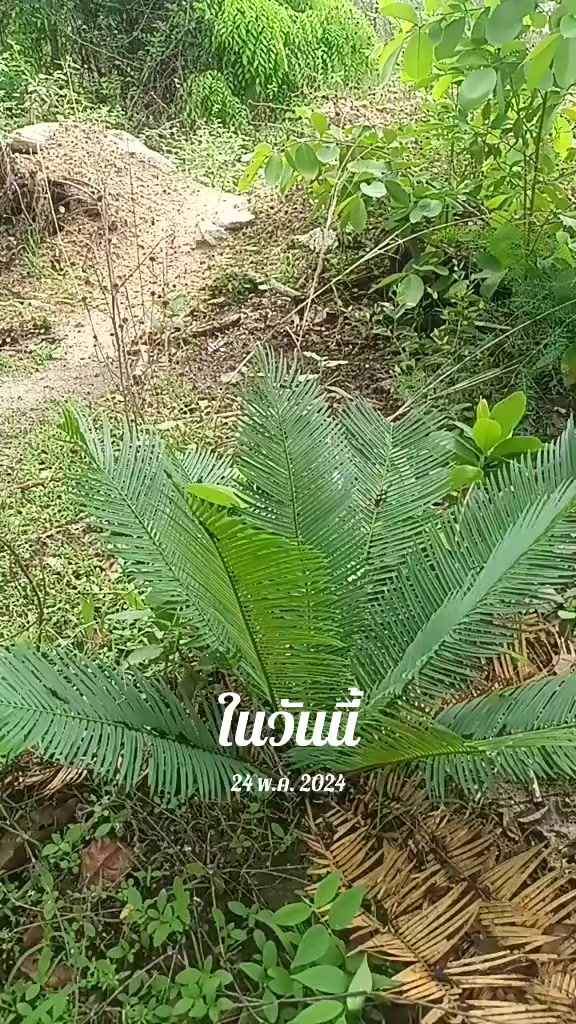 @ส.ท.ปฐมชัย ''Non-🧑🔧🪛⚙️🛠🗜