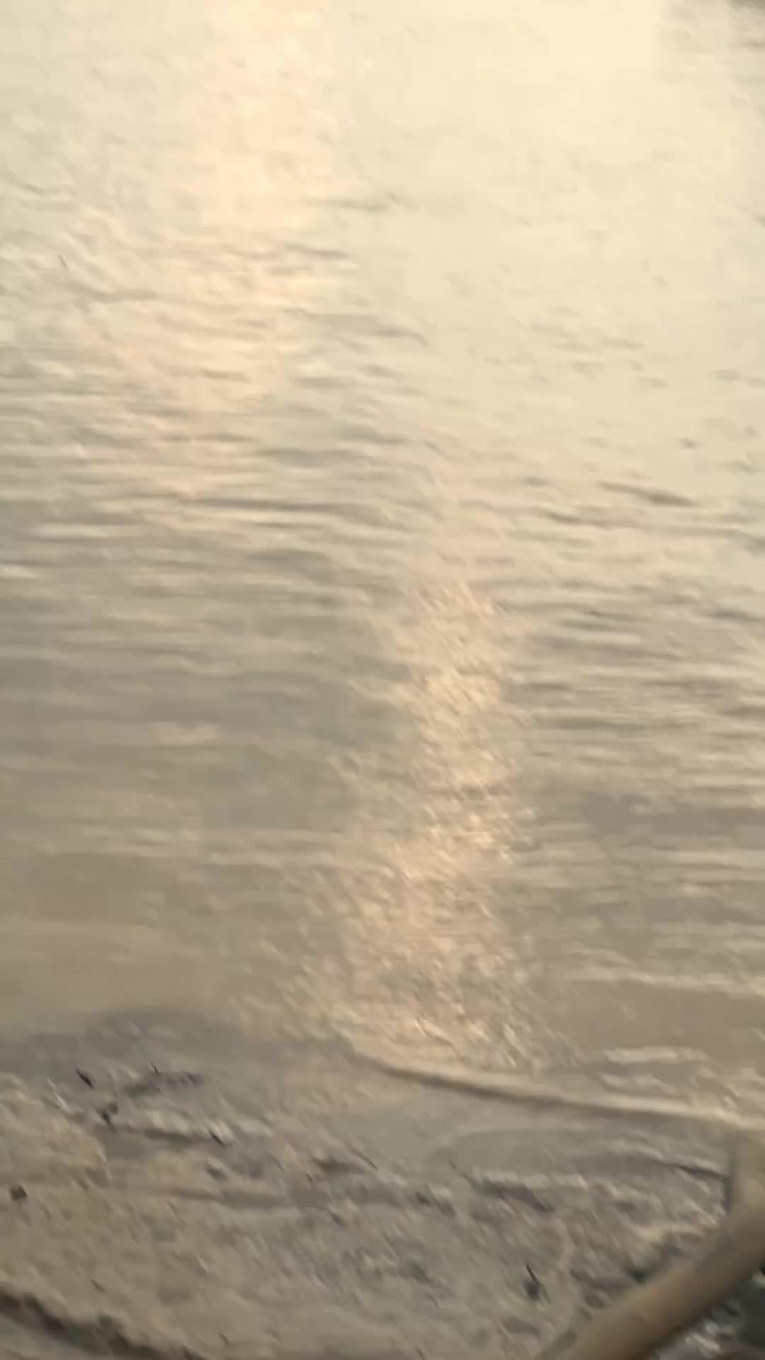 @𝘄𝗮𝗵𝗵𝘆𝘂