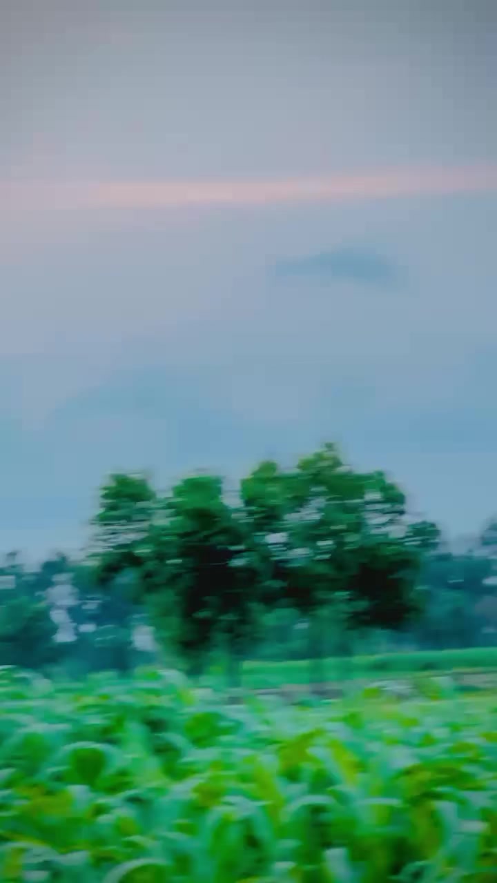 @✨✨✨✨