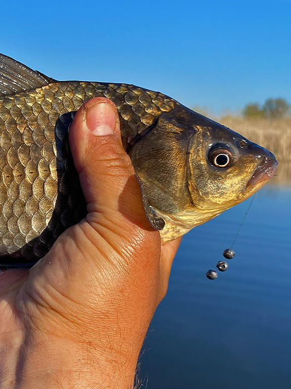 @Роман Ворон-Ахмоєв