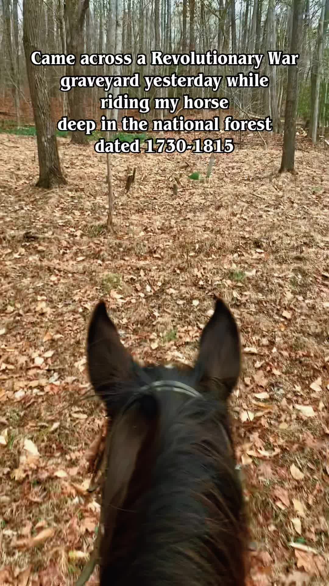@SlowlaneFarm