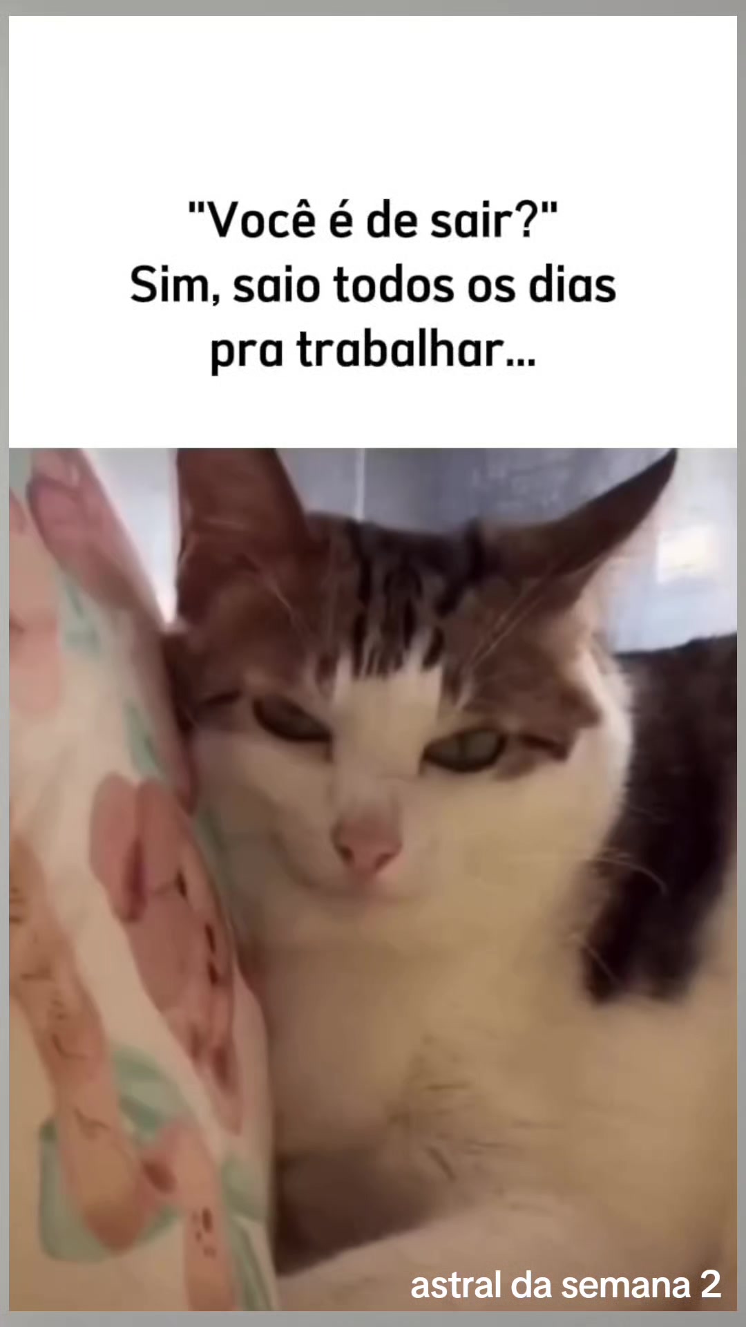 @Astral da semana 2