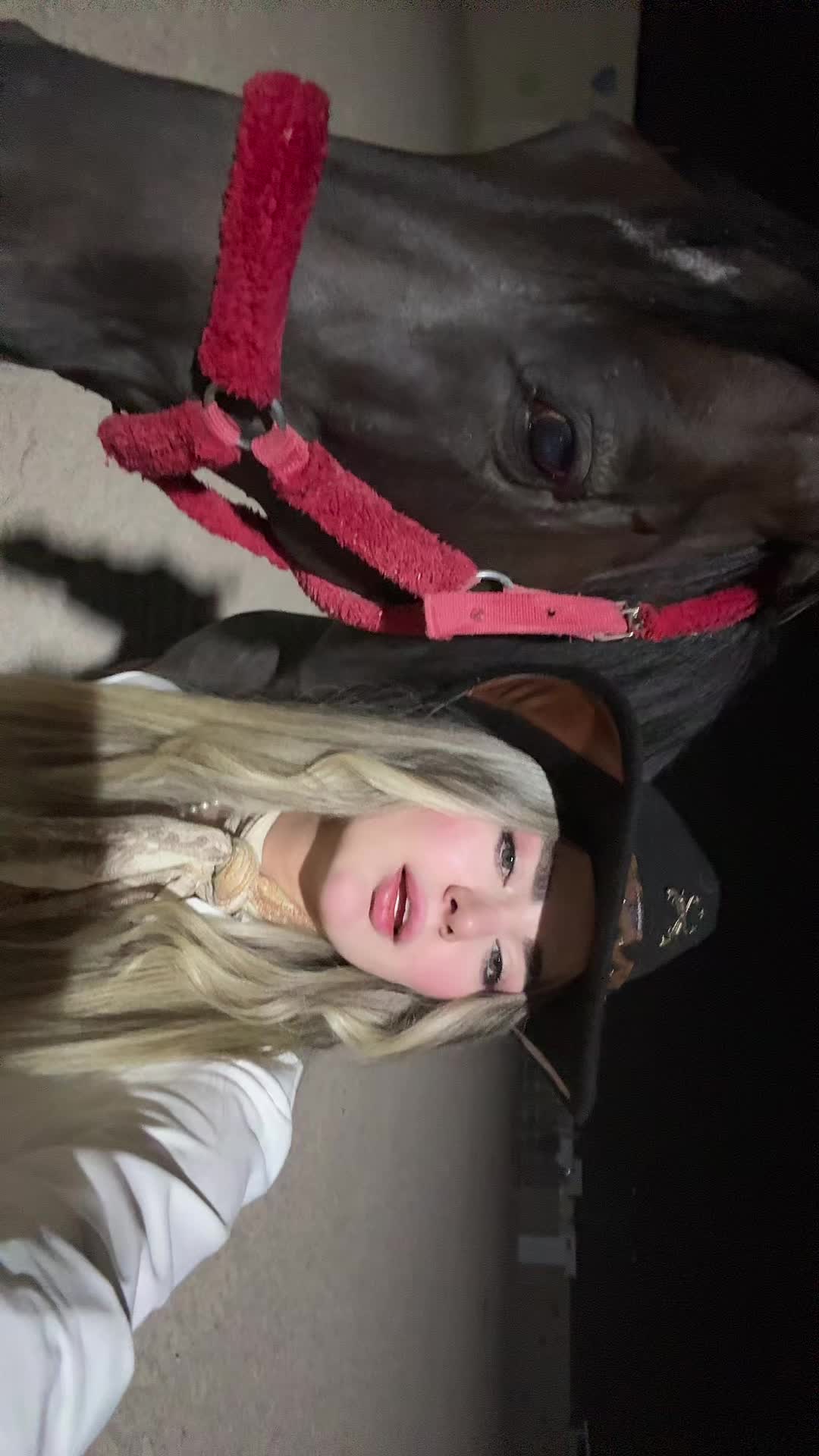 @Yasllina