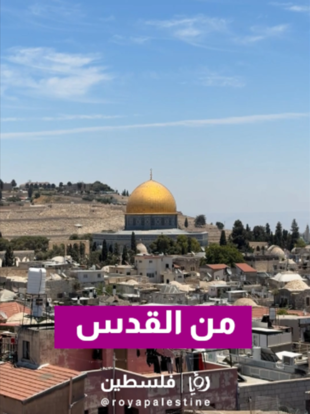 @Royapalestine رؤيا فلسطين