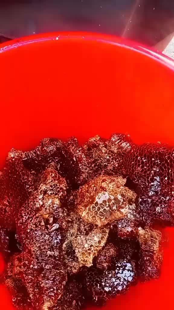@🌹🌹