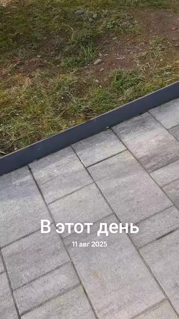 @დალი ვეკუა