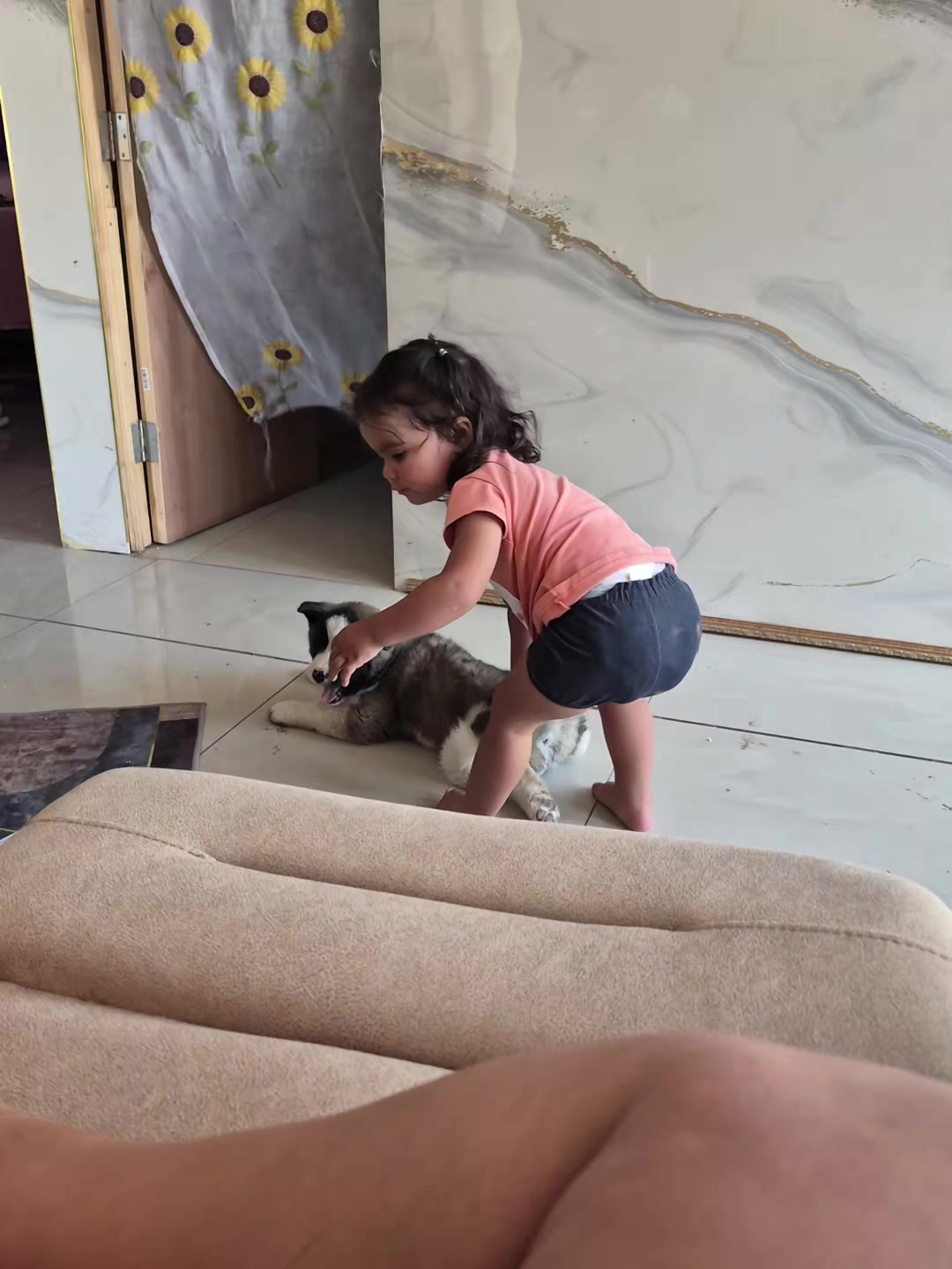 @Camila Fuenzalida