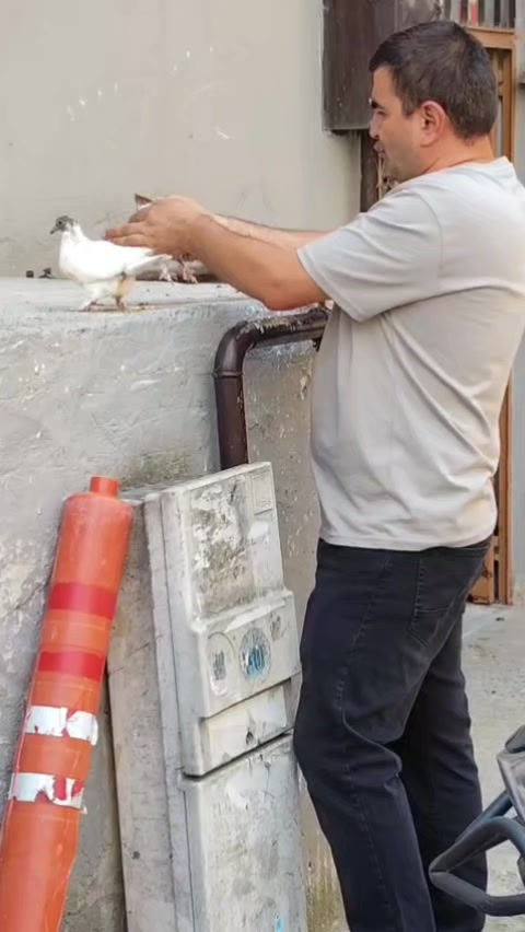 @Erkan Bey 24