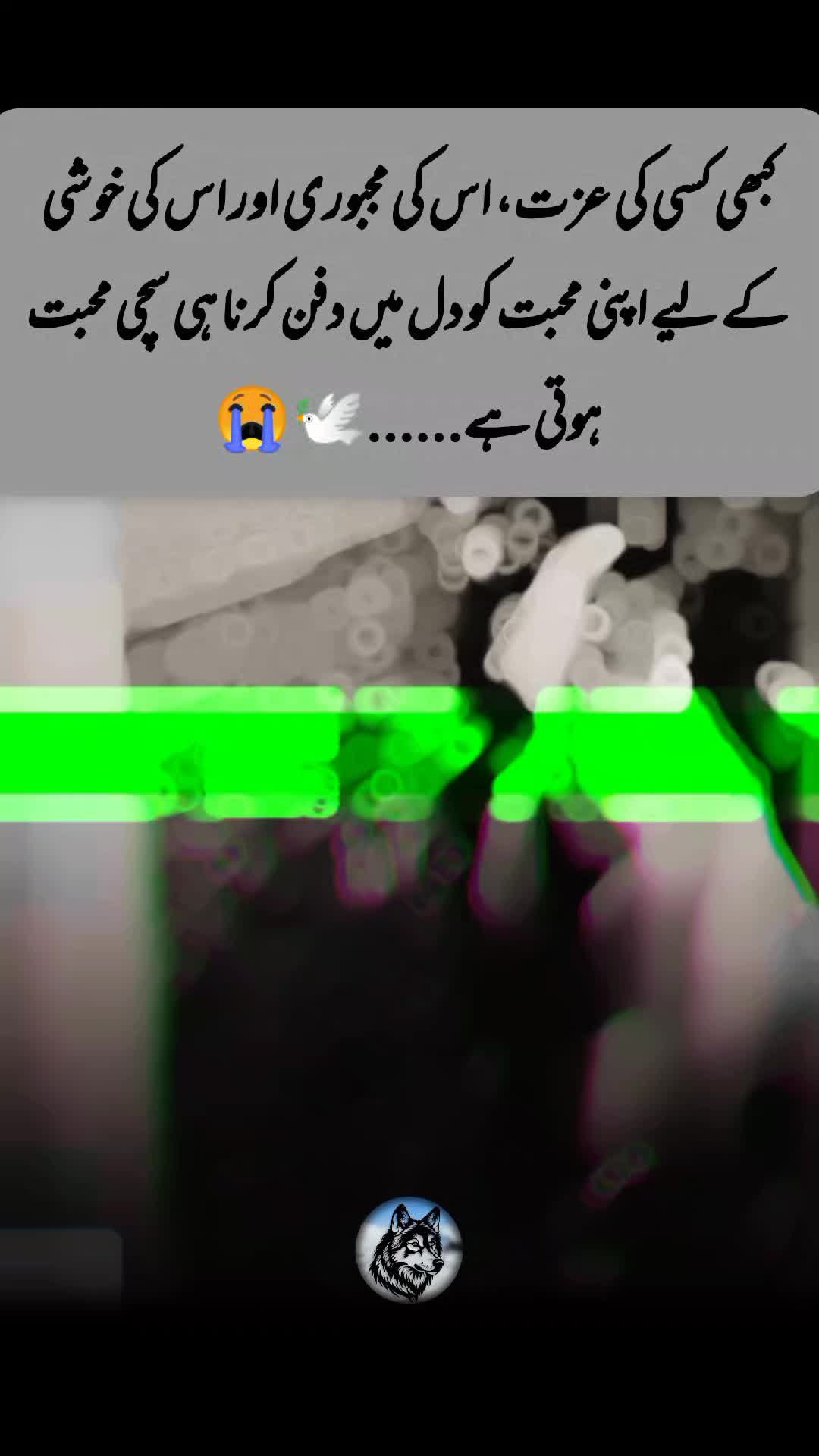 @⚔️ ٣١٣ ⚔️