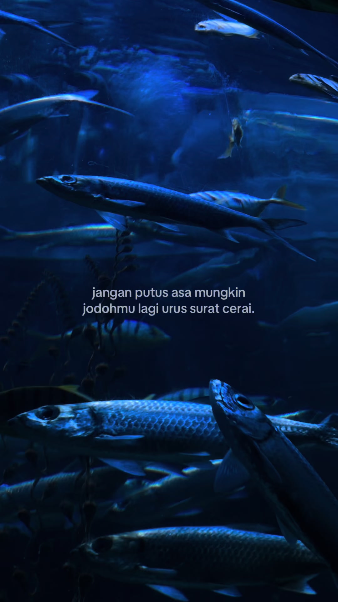 @𝗗𝗶𝗮𝗻𝘆