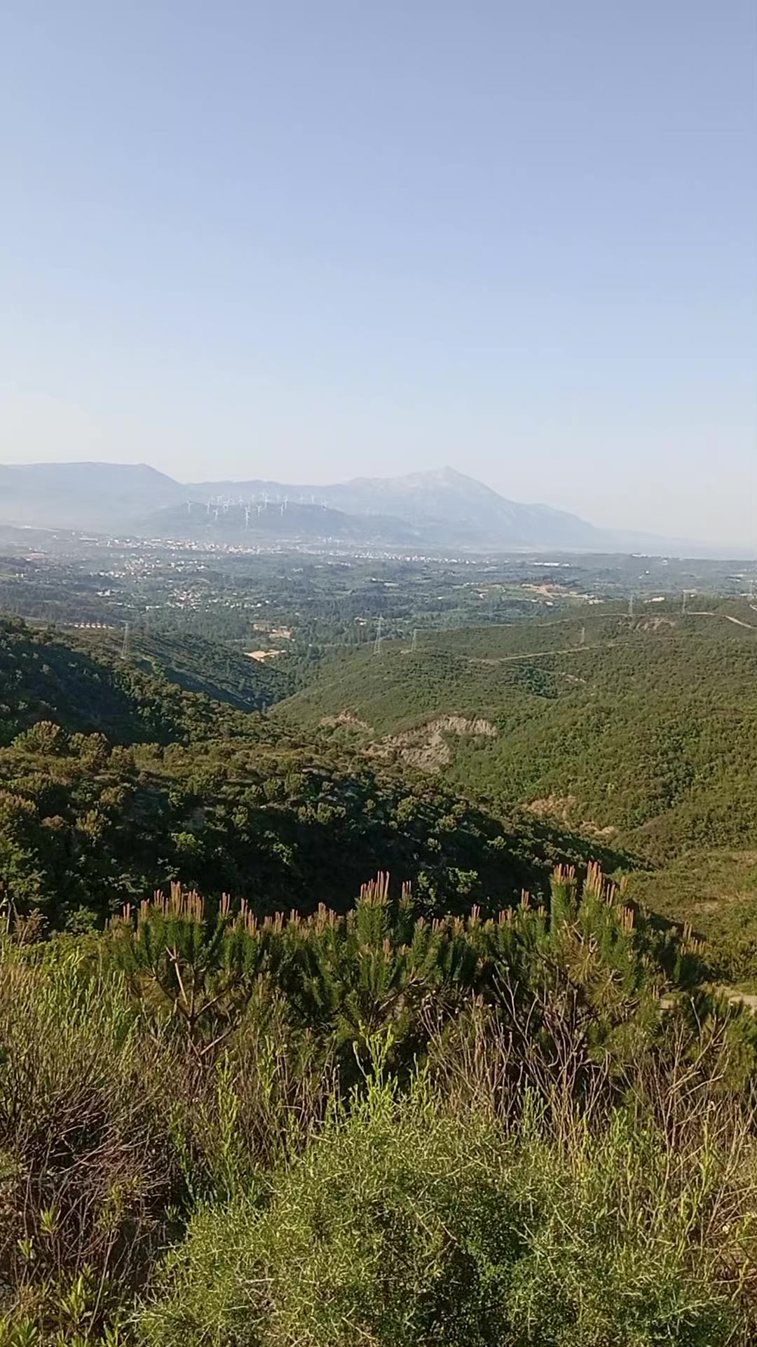 @Ömer Gök