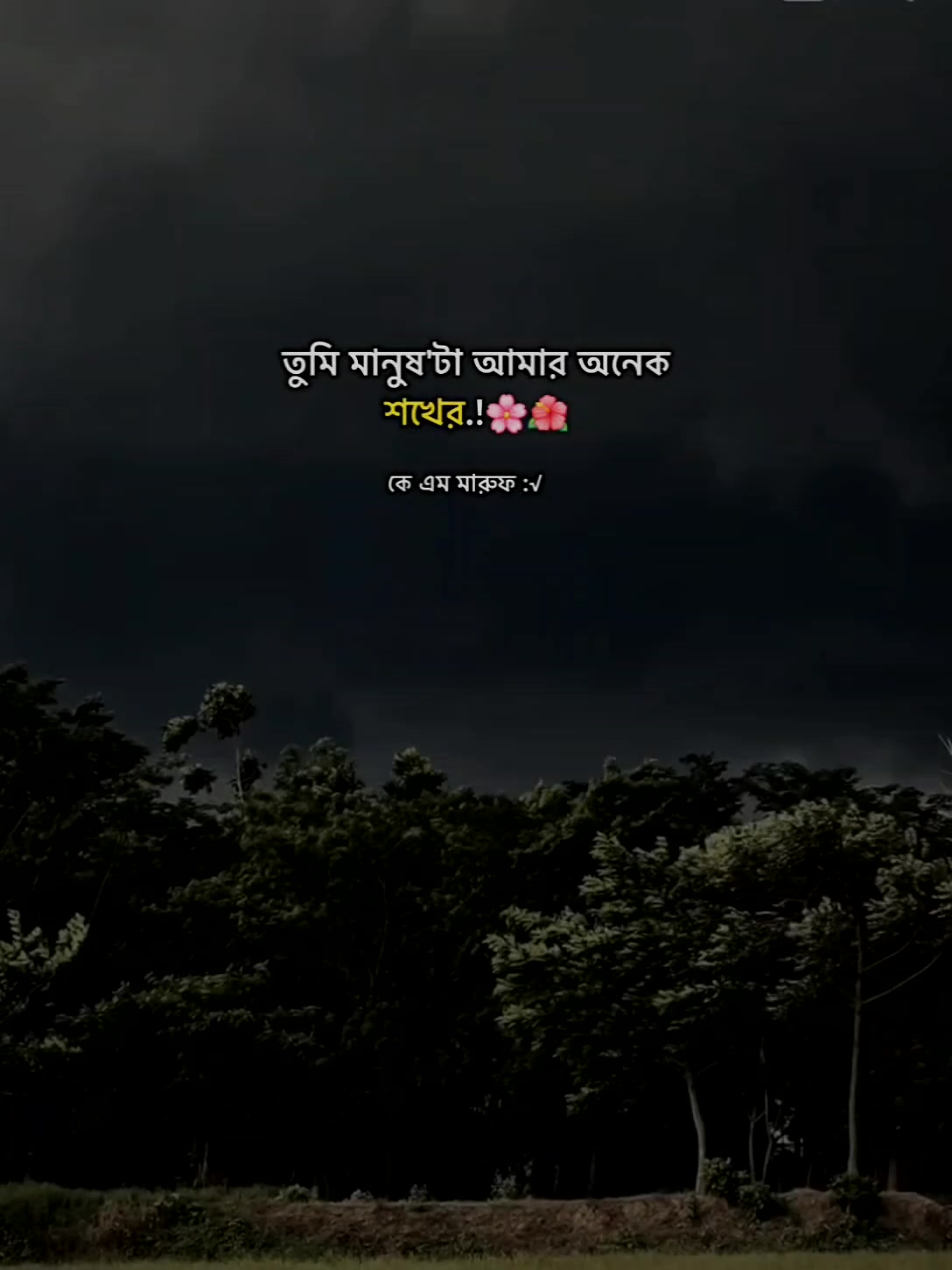 @🌻..কে এম মারুফ..🌻