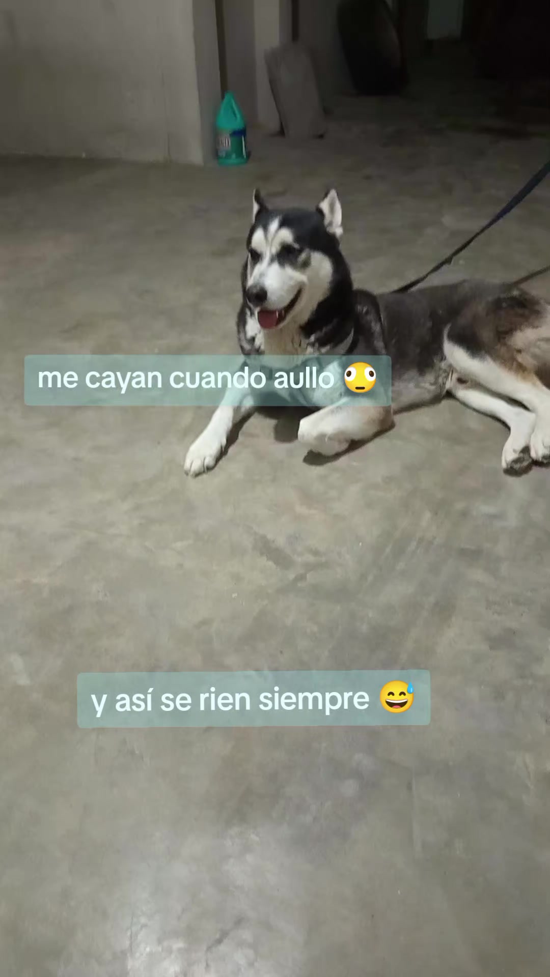 @ReLeZaM
