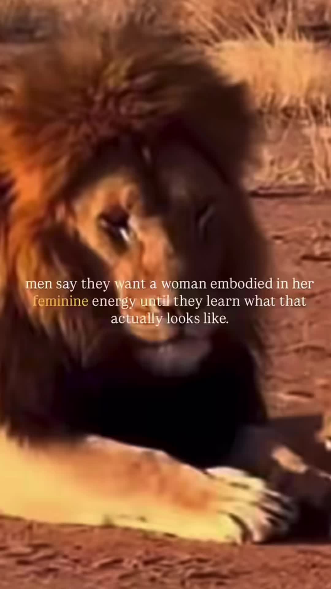 @𝕁𝕖𝕤𝕤