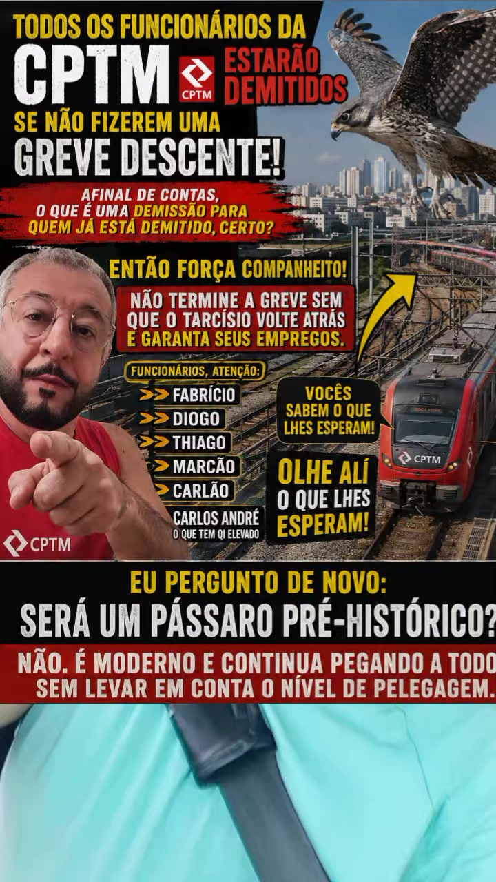 @REINALDO T.C