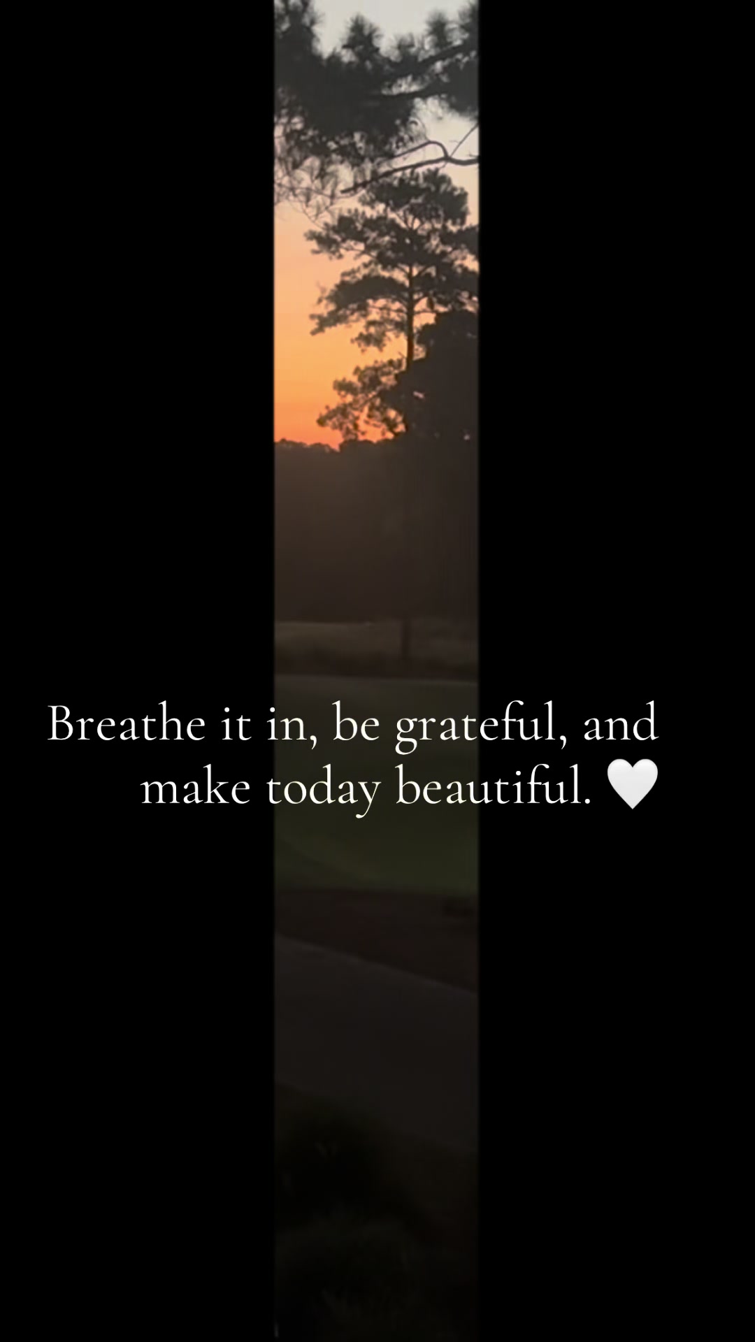 @LifeWithShan