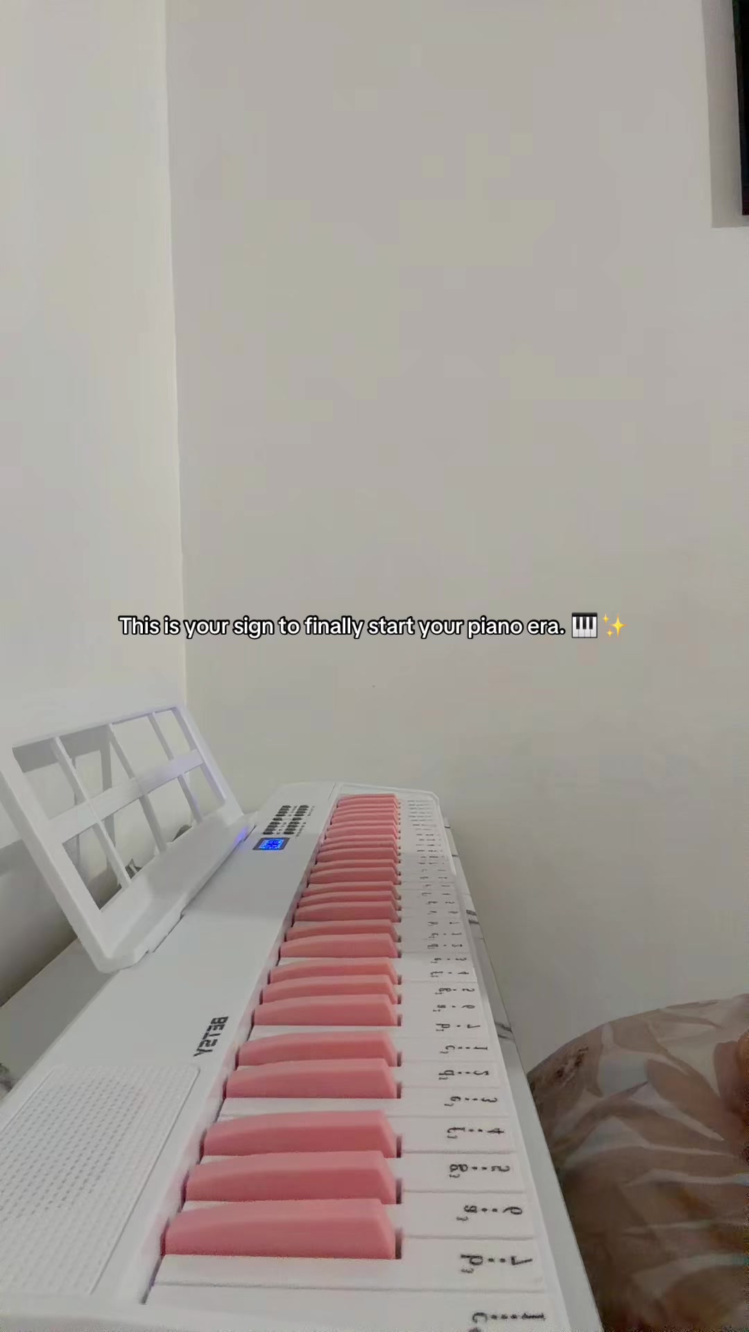 @ᥫ᭡