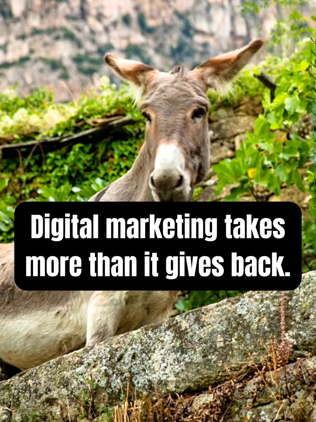 @Digital Marketing Pros ✨