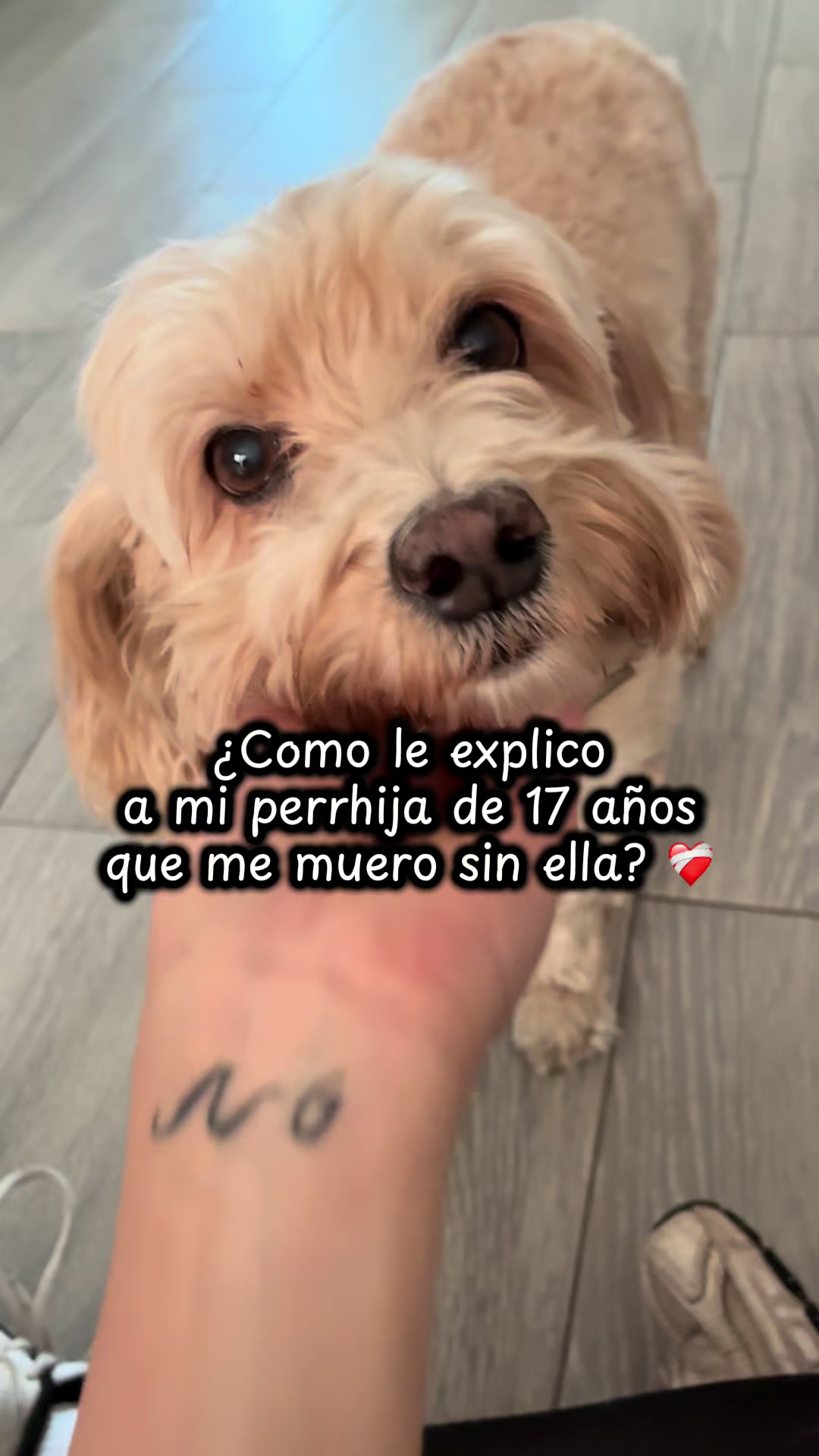 @lanutri.dogmom