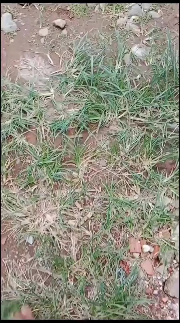 @𝐑𝐁𝐒𝐒_𝐏𝐊𝐋𝐍𝐆𝐀𝐍🍁