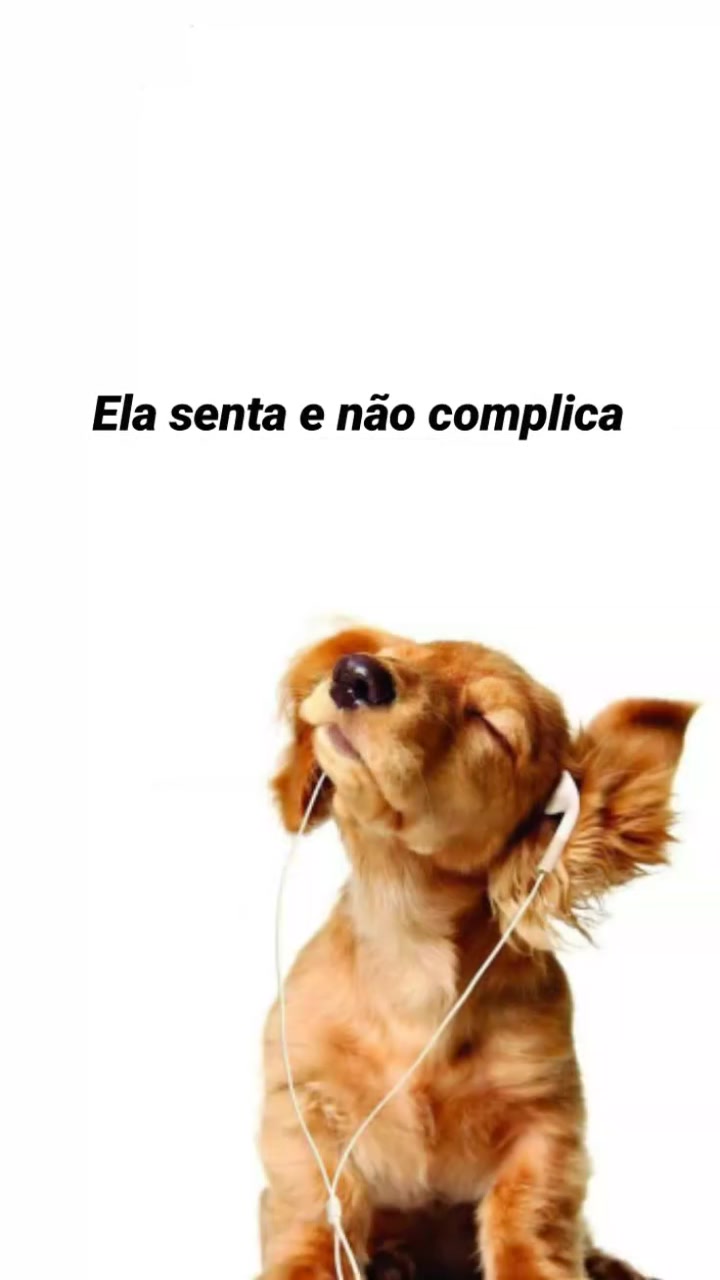 @angll_zxz