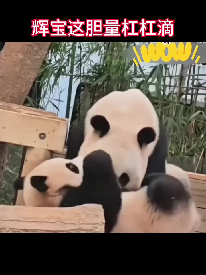 @一生等待