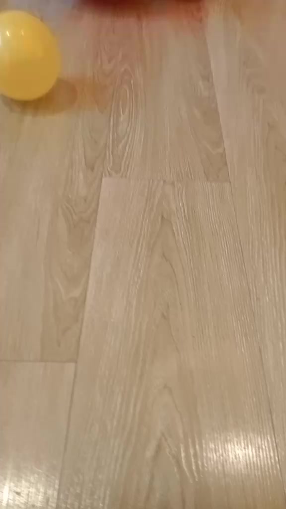 @aryani