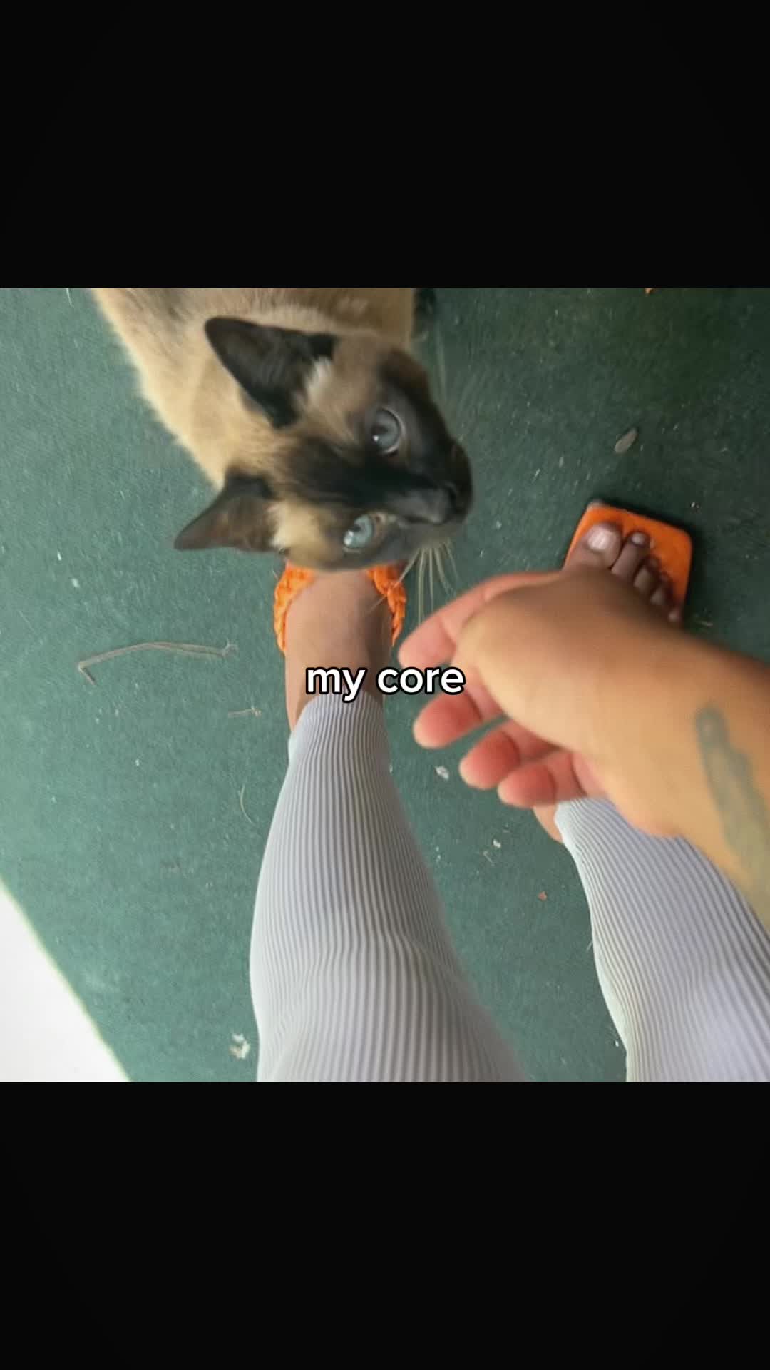 @theprettycapari