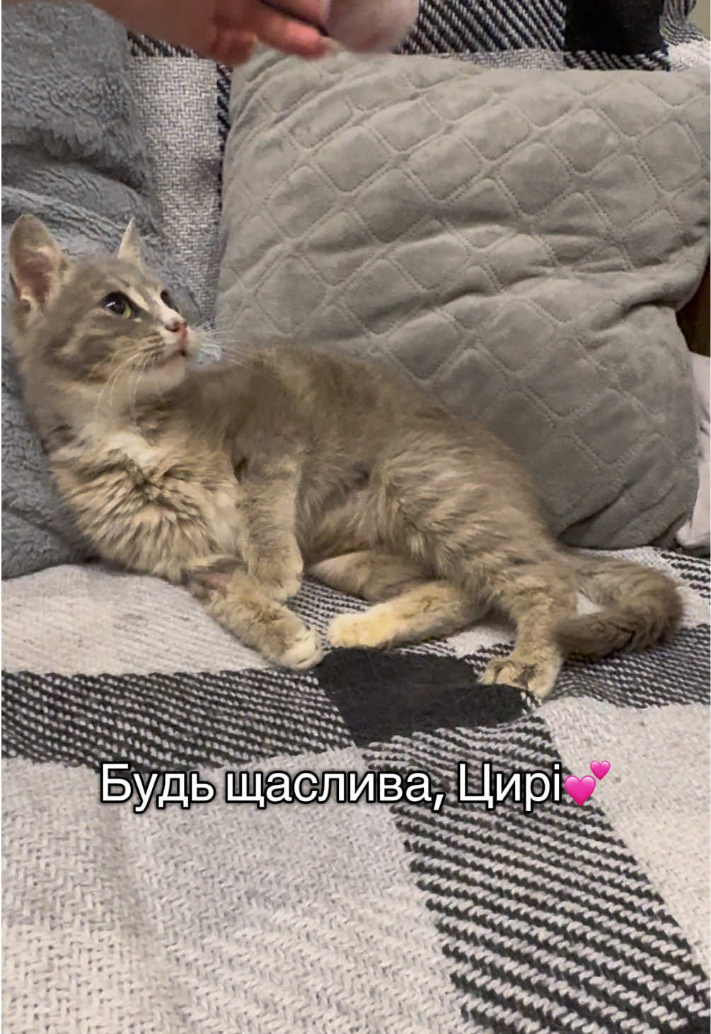 @Корнелія Удовенко