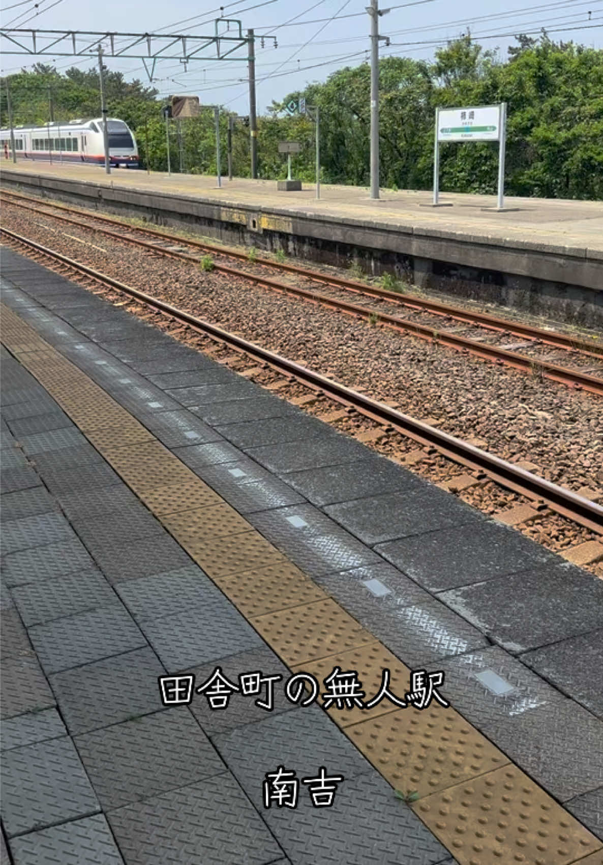 @モミゴンJK&南吉