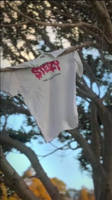 @The Steezy Collection